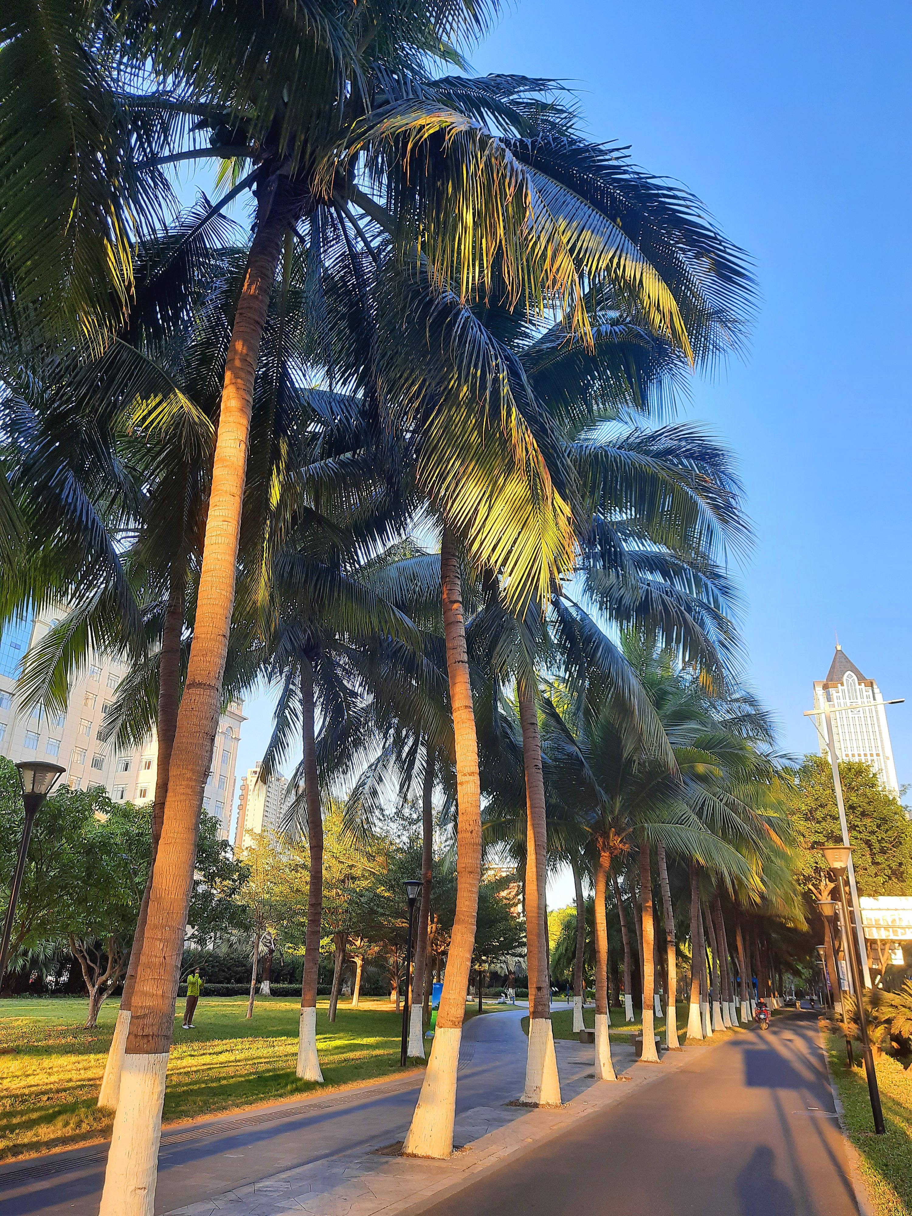 海南热带宝岛的魅力之旅探秘之旅