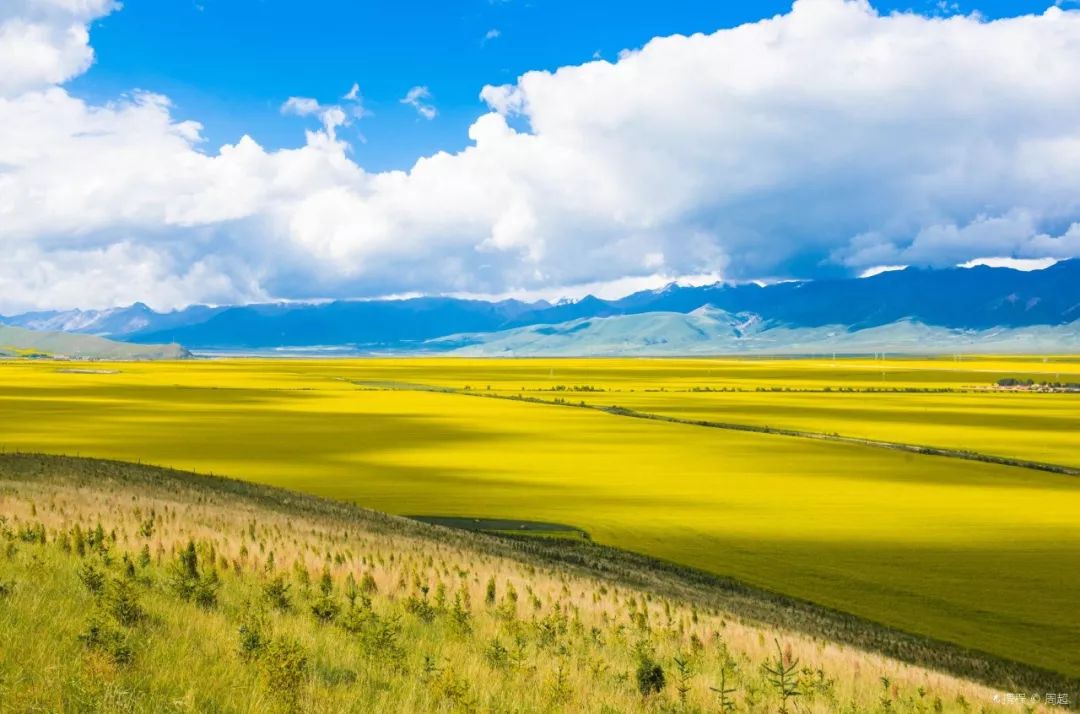 探寻青海，神秘壮丽土地之旅