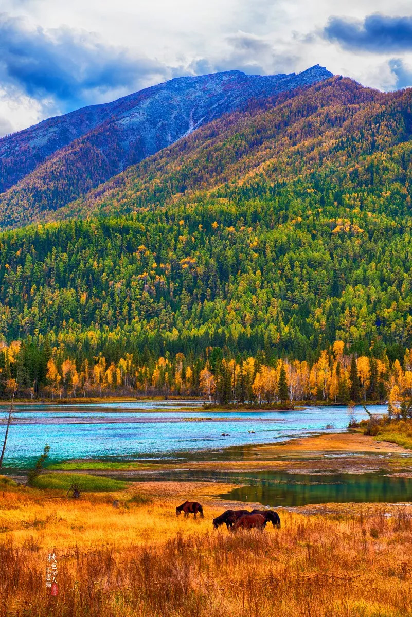 新疆,多元文化融合与和谐共生的地域典范